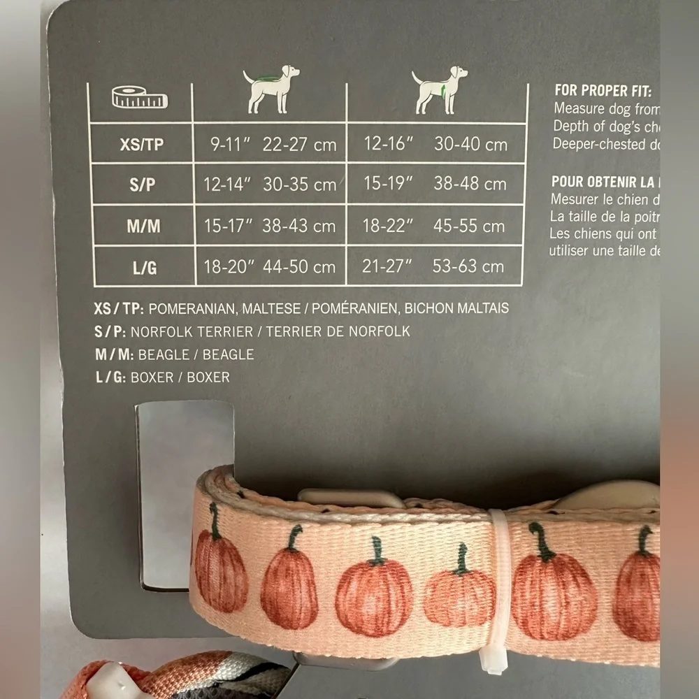 Dog London Harness and Leash Set with Pumpkins Fall Harvest Sydney & Co. Sz‎ L